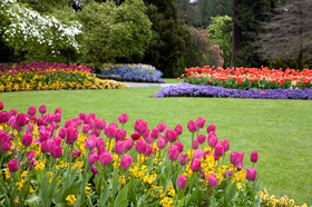 Beautiful landscaping